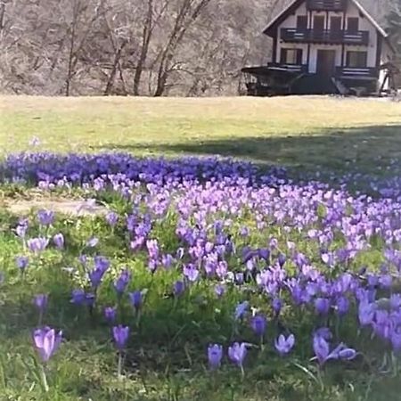 Casa De Vacanta Satic Piatra Craiului La Doi Viermi Екстер'єр фото