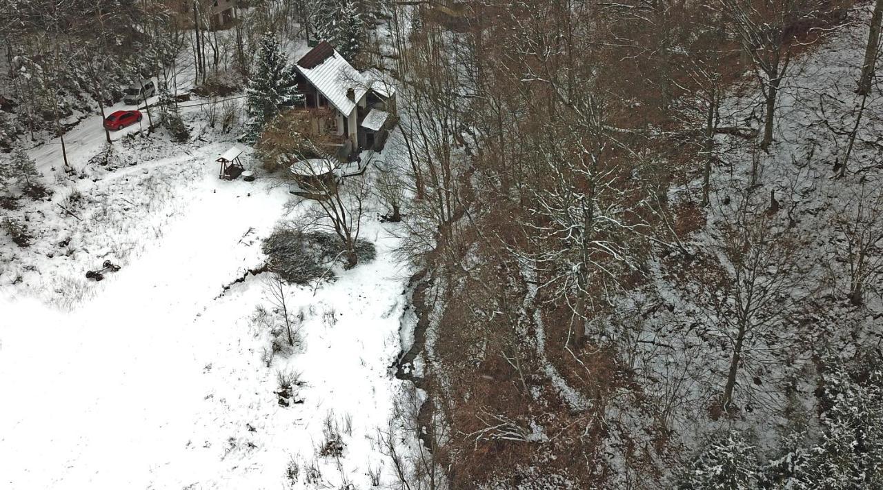 Casa De Vacanta Satic Piatra Craiului La Doi Viermi Екстер'єр фото