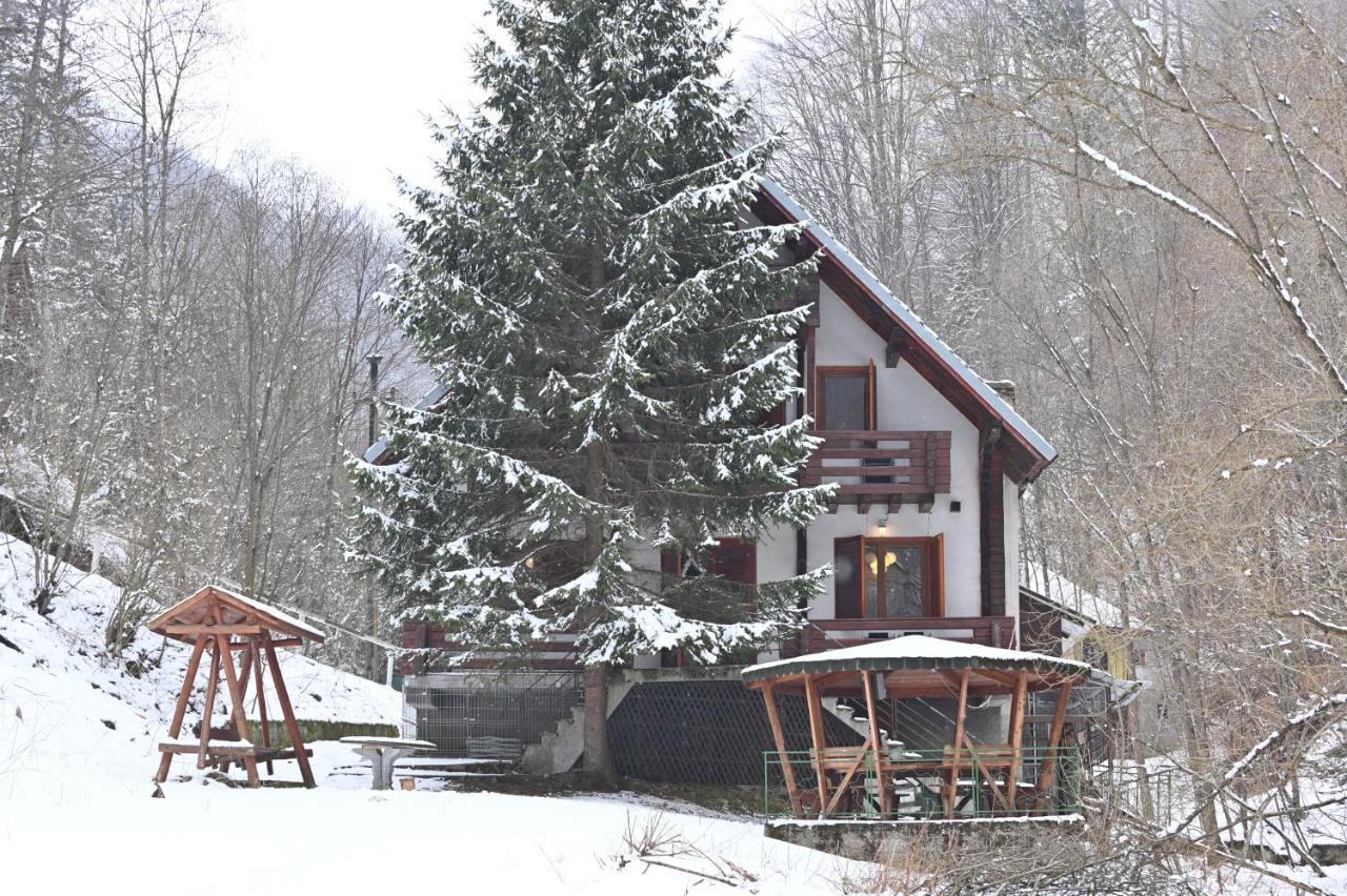 Casa De Vacanta Satic Piatra Craiului La Doi Viermi Екстер'єр фото