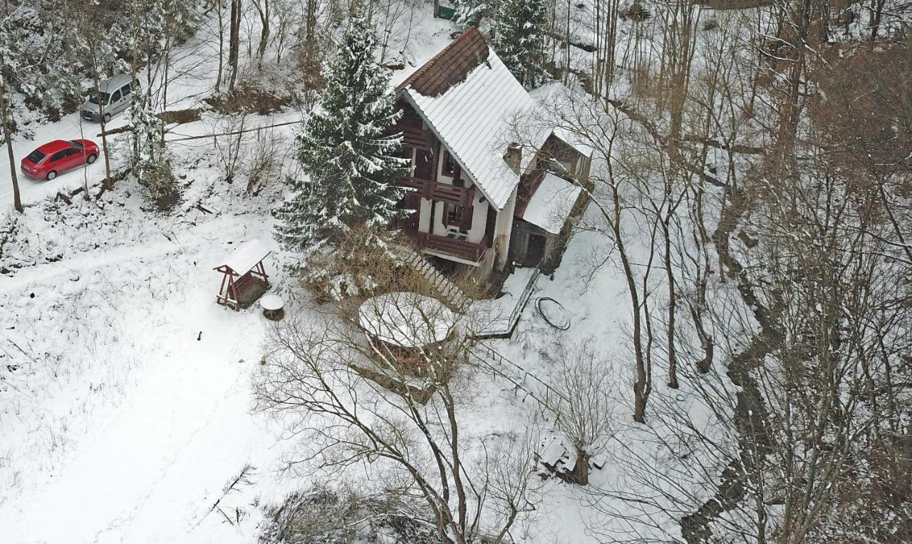 Casa De Vacanta Satic Piatra Craiului La Doi Viermi Екстер'єр фото