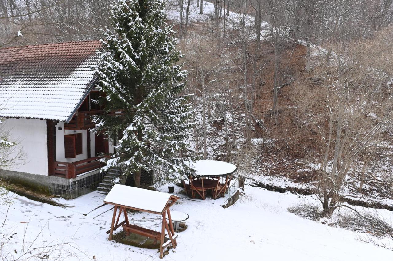 Casa De Vacanta Satic Piatra Craiului La Doi Viermi Екстер'єр фото