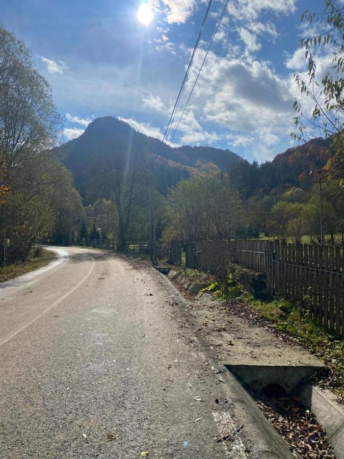 Casa De Vacanta Satic Piatra Craiului La Doi Viermi Екстер'єр фото