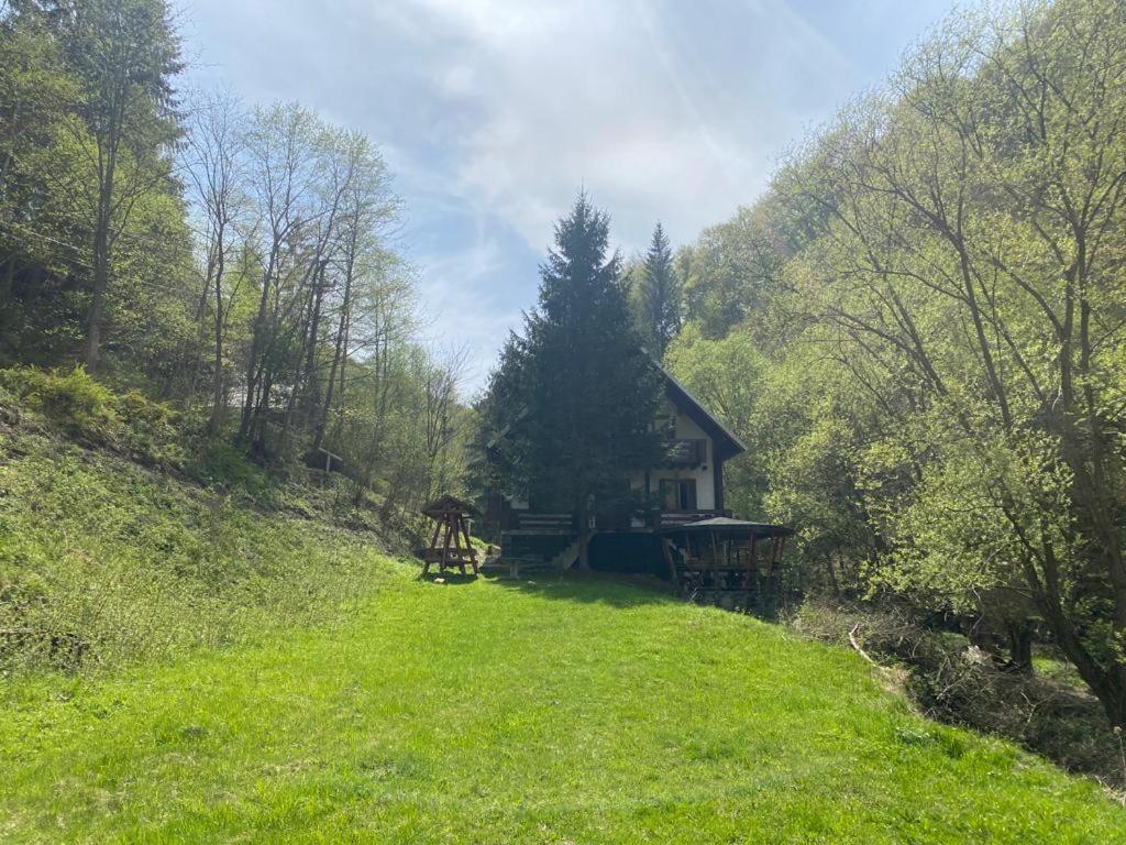 Casa De Vacanta Satic Piatra Craiului La Doi Viermi Екстер'єр фото