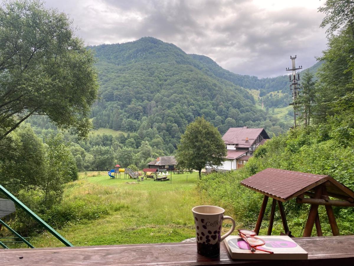 Casa De Vacanta Satic Piatra Craiului La Doi Viermi Екстер'єр фото