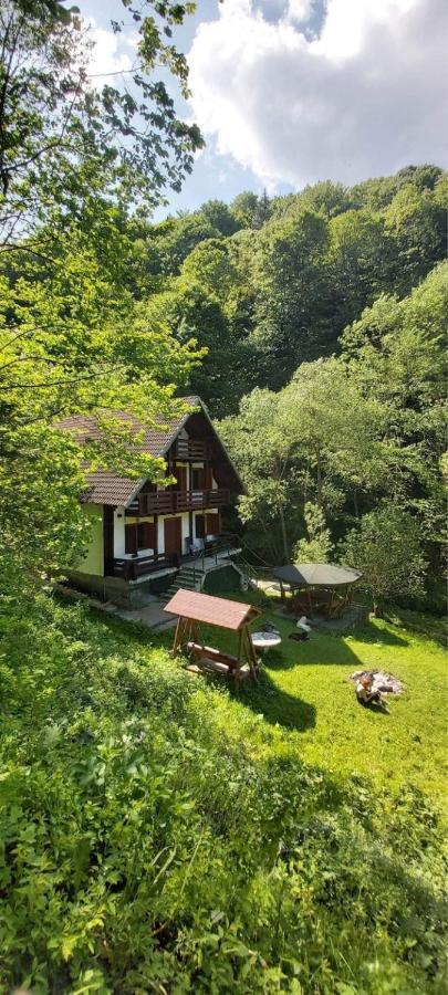 Casa De Vacanta Satic Piatra Craiului La Doi Viermi Екстер'єр фото