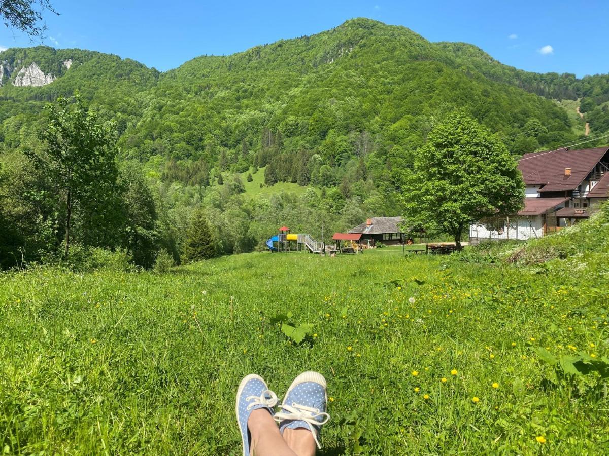 Casa De Vacanta Satic Piatra Craiului La Doi Viermi Екстер'єр фото