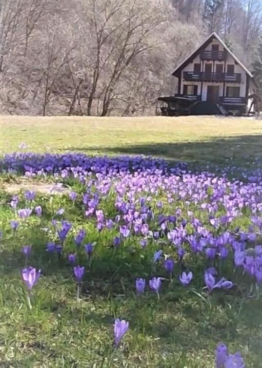 Casa De Vacanta Satic Piatra Craiului La Doi Viermi Екстер'єр фото